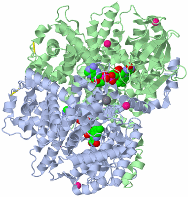 Image Asym./Biol. Unit