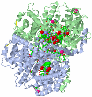 Image Asym./Biol. Unit - sites