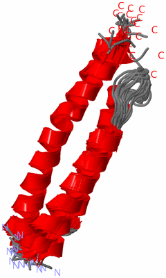 Image NMR Structure - all models