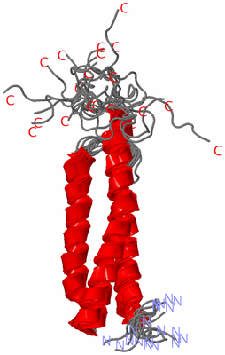 Image NMR Structure - all models