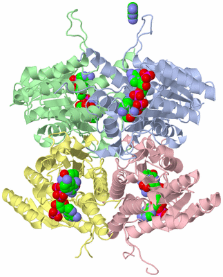 Image Biological Unit 1