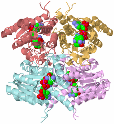 Image Biological Unit 2