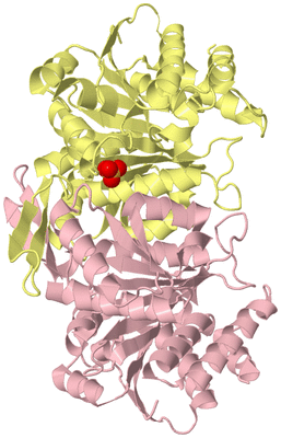 Image Biological Unit 2