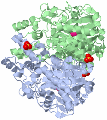 Image Asym./Biol. Unit