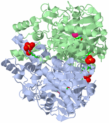 Image Asym./Biol. Unit - sites