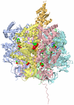 Image Asym./Biol. Unit