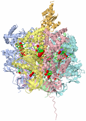 Image Asym./Biol. Unit - sites