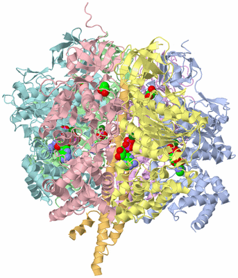 Image Asym./Biol. Unit