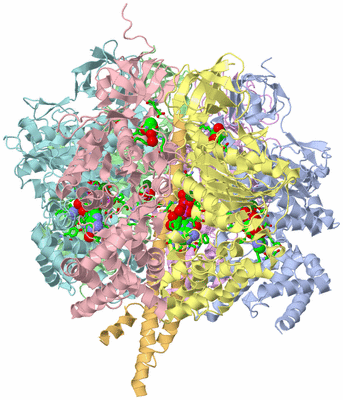 Image Asym./Biol. Unit - sites