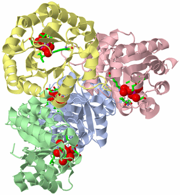 Image Biol. Unit 1 - sites