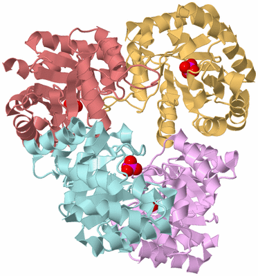 Image Biological Unit 2