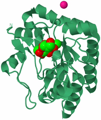 Image Biological Unit 1