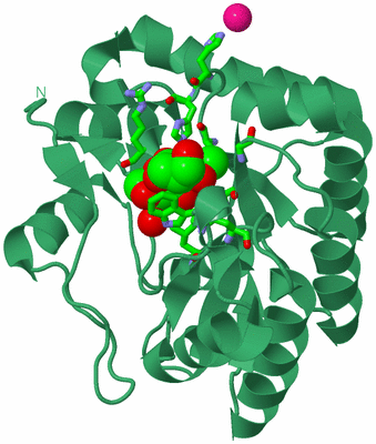 Image Biol. Unit 1 - sites