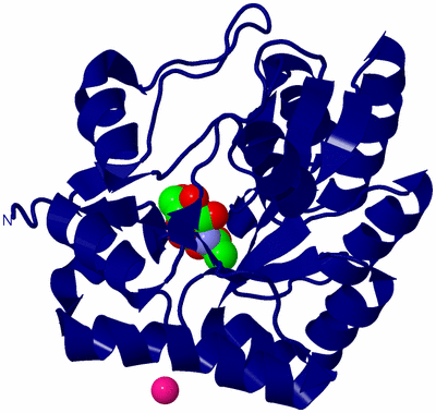 Image Biological Unit 2