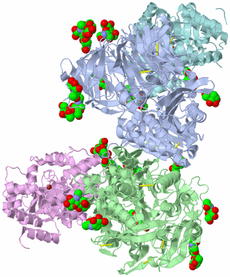 Image Biological Unit 1