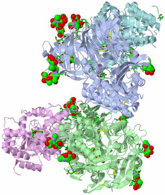 Image Biol. Unit 1 - sites