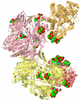 Image Biological Unit 2