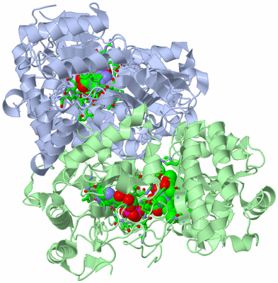 Image Asym./Biol. Unit - sites