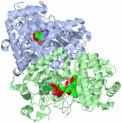 Image Asym./Biol. Unit