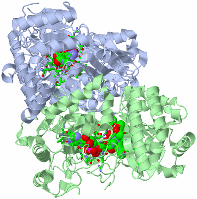 Image Asym./Biol. Unit - sites