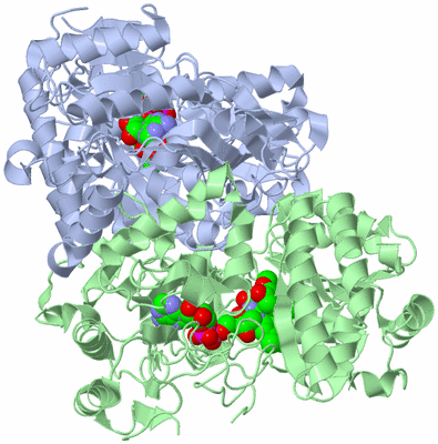 Image Asym./Biol. Unit