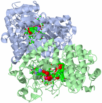 Image Asym./Biol. Unit - sites