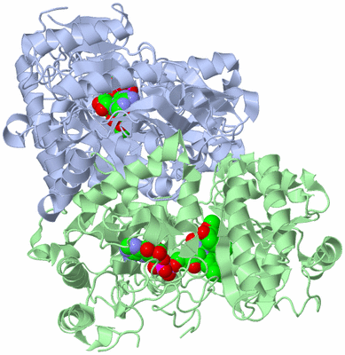 Image Asym./Biol. Unit