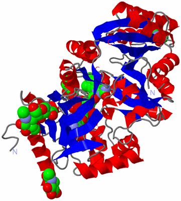 Image Asym./Biol. Unit