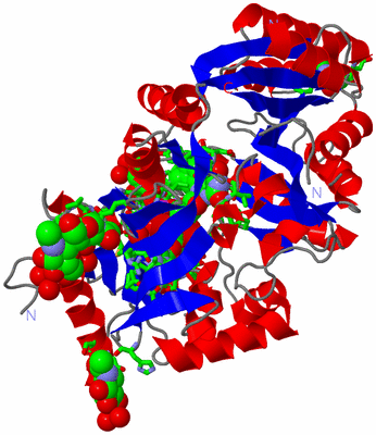 Image Asym./Biol. Unit - sites