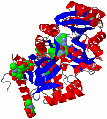 Image Asym./Biol. Unit