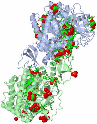 Image Asym./Biol. Unit - sites