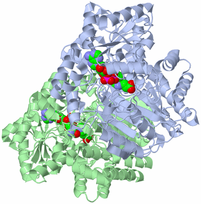 Image Asym./Biol. Unit