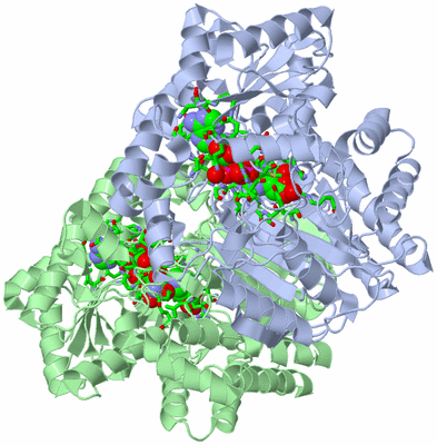 Image Asym./Biol. Unit - sites