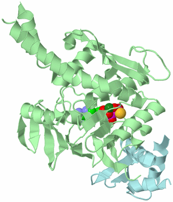 Image Biological Unit 1