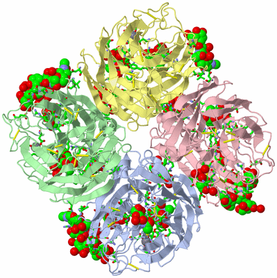 Image Asym./Biol. Unit - sites