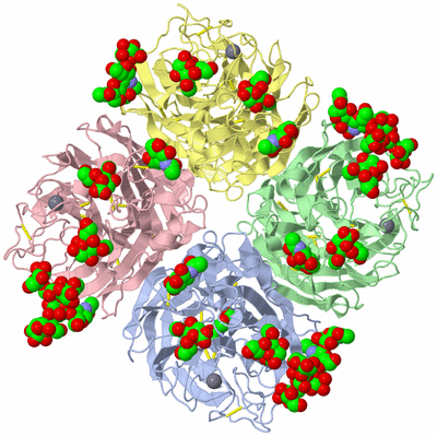 Image Asym./Biol. Unit