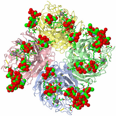 Image Asym./Biol. Unit - sites