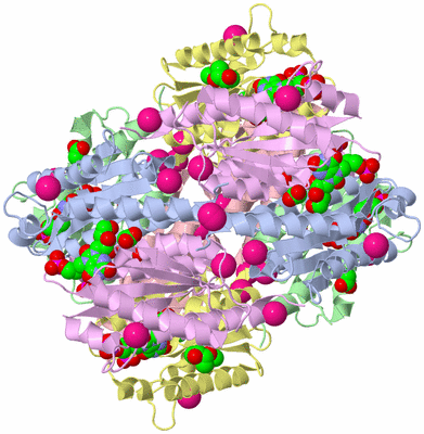 Image Biological Unit 1