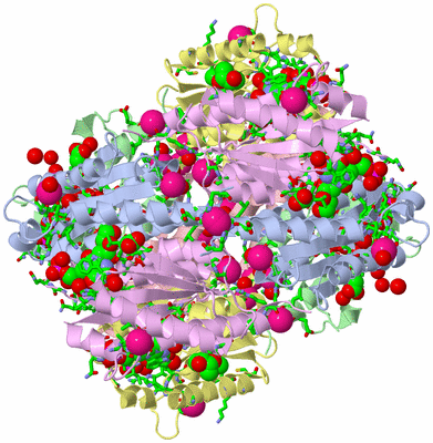 Image Biol. Unit 1 - sites