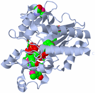 Image Biol. Unit 1 - sites