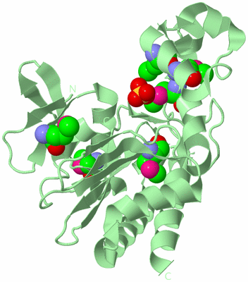 Image Biological Unit 2