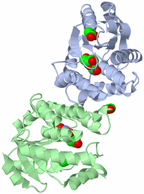 Image Asym./Biol. Unit