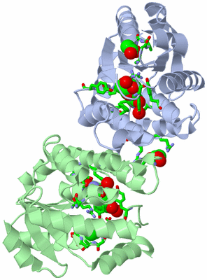 Image Asym./Biol. Unit - sites