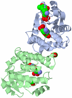 Image Asym./Biol. Unit