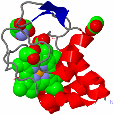 Image Asym./Biol. Unit