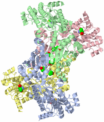 Image Biological Unit 1