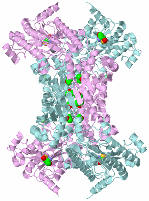 Image Biological Unit 2