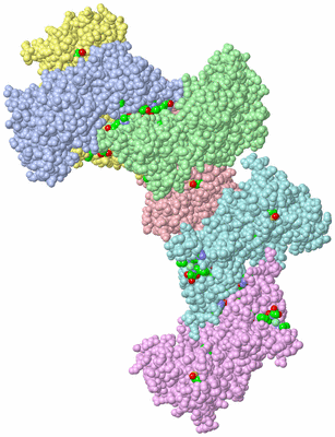 Image Asym. Unit - sites