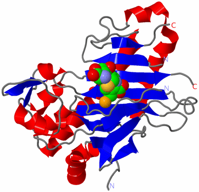 Image Asym./Biol. Unit