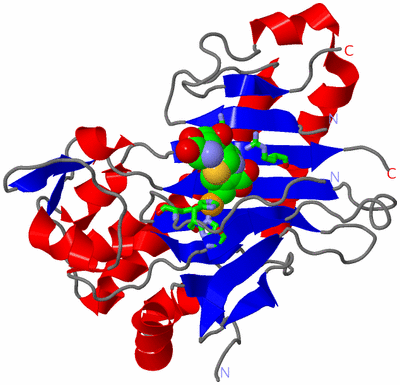 Image Asym./Biol. Unit - sites